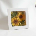 Thumbnail of post image 030