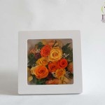 Thumbnail of post image 000