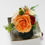 Thumbnail of post image 075