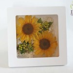 Thumbnail of post image 133