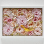 Thumbnail of post image 007