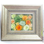 Thumbnail of post image 186