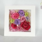 Thumbnail of post image 177