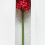 Thumbnail of post image 186