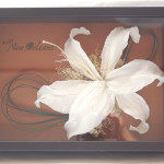 Thumbnail of post image 196