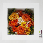 Thumbnail of post image 020