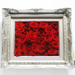 Thumbnail of post image 056