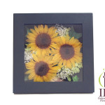 Thumbnail of post image 130