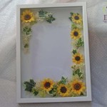 Thumbnail of post image 059