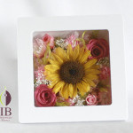 Thumbnail of post image 171