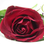 Thumbnail of post image 100