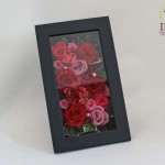 Thumbnail of post image 011