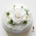 Thumbnail of post image 097