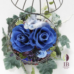 Thumbnail of post image 024