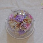 Thumbnail of post image 112