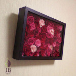 Thumbnail of post image 028