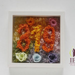 Thumbnail of post image 008