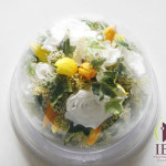 Thumbnail of post image 043