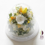 Thumbnail of post image 158