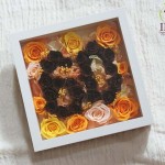 Thumbnail of post image 060