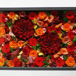 Thumbnail of post image 198