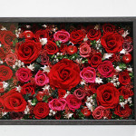 Thumbnail of post image 035