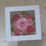 Thumbnail of post image 117