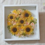 Thumbnail of post image 070