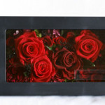 Thumbnail of post image 180