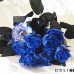 Thumbnail of post image 154