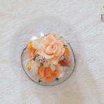 Thumbnail of post image 053