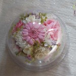 Thumbnail of post image 026