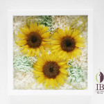 Thumbnail of post image 090