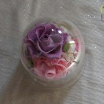 Thumbnail of post image 062