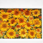 Thumbnail of post image 139