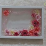 Thumbnail of post image 191