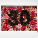 Thumbnail of post image 023