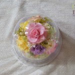 Thumbnail of post image 043