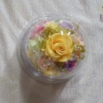 Thumbnail of post image 067