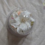 Thumbnail of post image 168