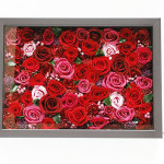 Thumbnail of post image 017