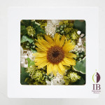 Thumbnail of post image 156