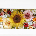 Thumbnail of post image 044