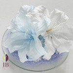 Thumbnail of post image 119