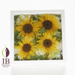 Thumbnail of post image 186