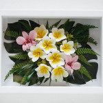 Thumbnail of post image 063