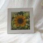 Thumbnail of post image 045