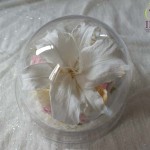 Thumbnail of post image 024