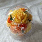 Thumbnail of post image 157