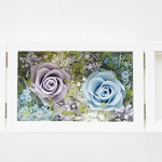 Thumbnail of post image 156